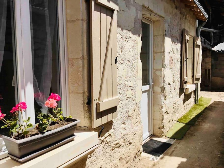 Logement Neuf Et Cosy Proche Centre Ville Chinon Dış mekan fotoğraf